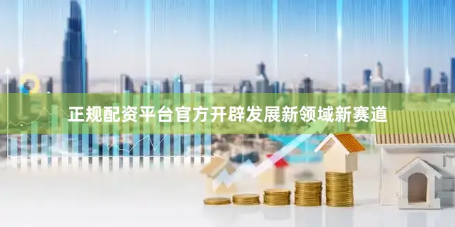 正规配资平台官方开辟发展新领域新赛道