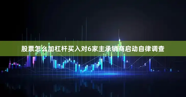 股票怎么加杠杆买入对6家主承销商启动自律调查